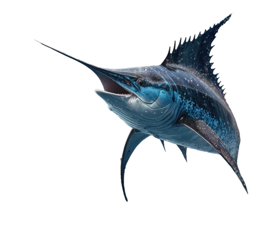 Pescado Torneo
